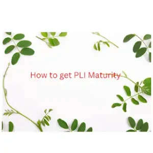 PLI Maturity claim process