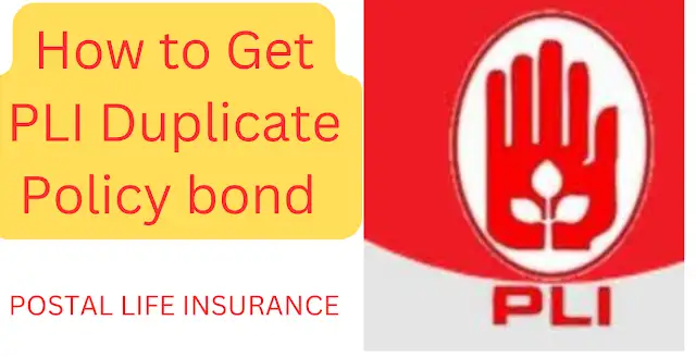 pli duplicate bond