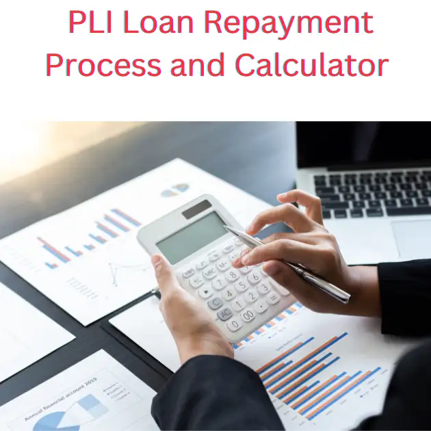 How to replay PLI Loan