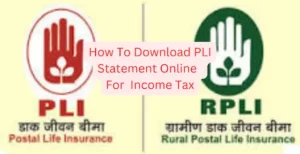 PLI statement download online