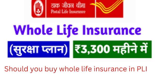 What is PLI Whole Life Insurance Plan?