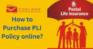 How to Purchase PLI Policy online?