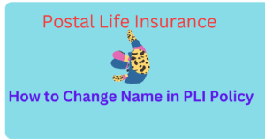 How can I change my name in PLI policy